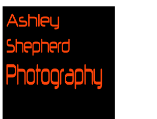 Ashley Shepherd Photography