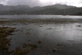 Plockton